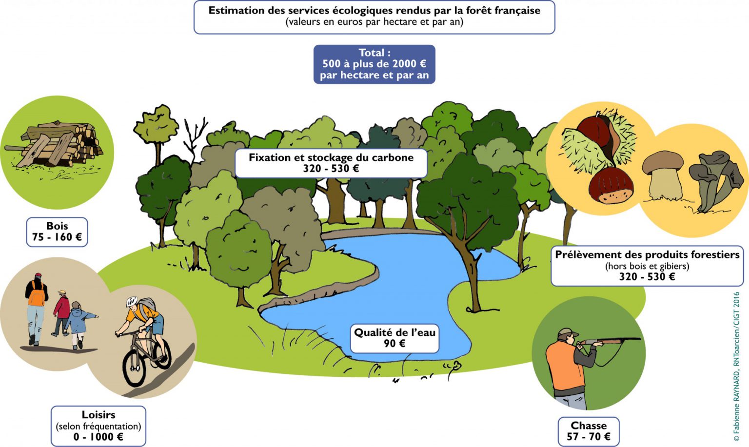 la-valeur-de-la-biodiversit-projet-biodiv