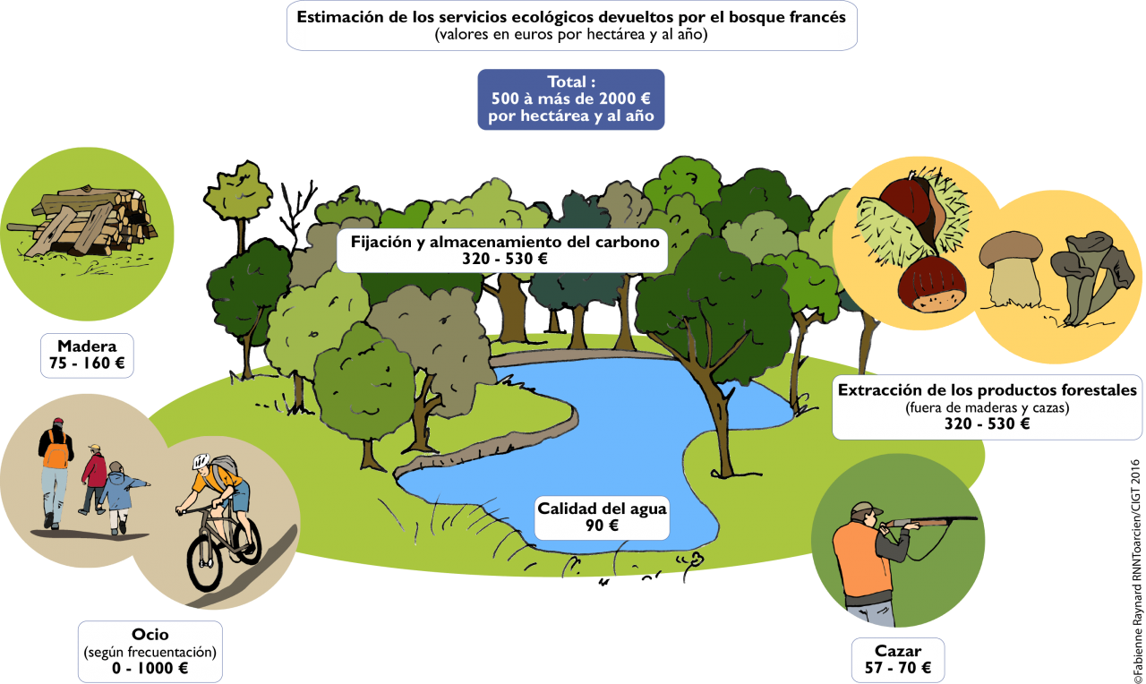 El Valor De La Biodiversidad – Projet-Biodiv