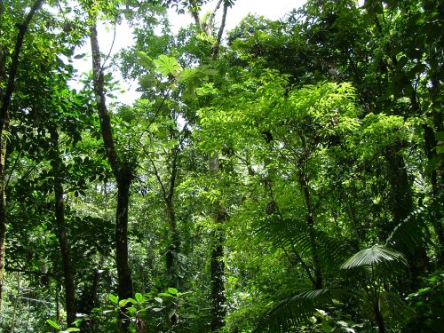 Costa-Rica – Projet-Biodiv