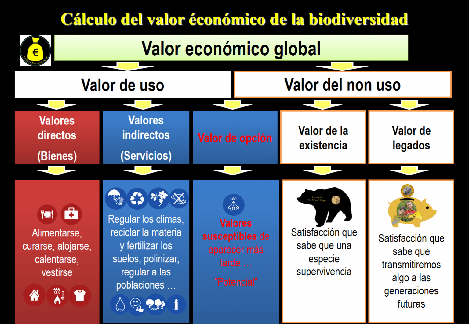 El Valor De La Biodiversidad – Projet-Biodiv